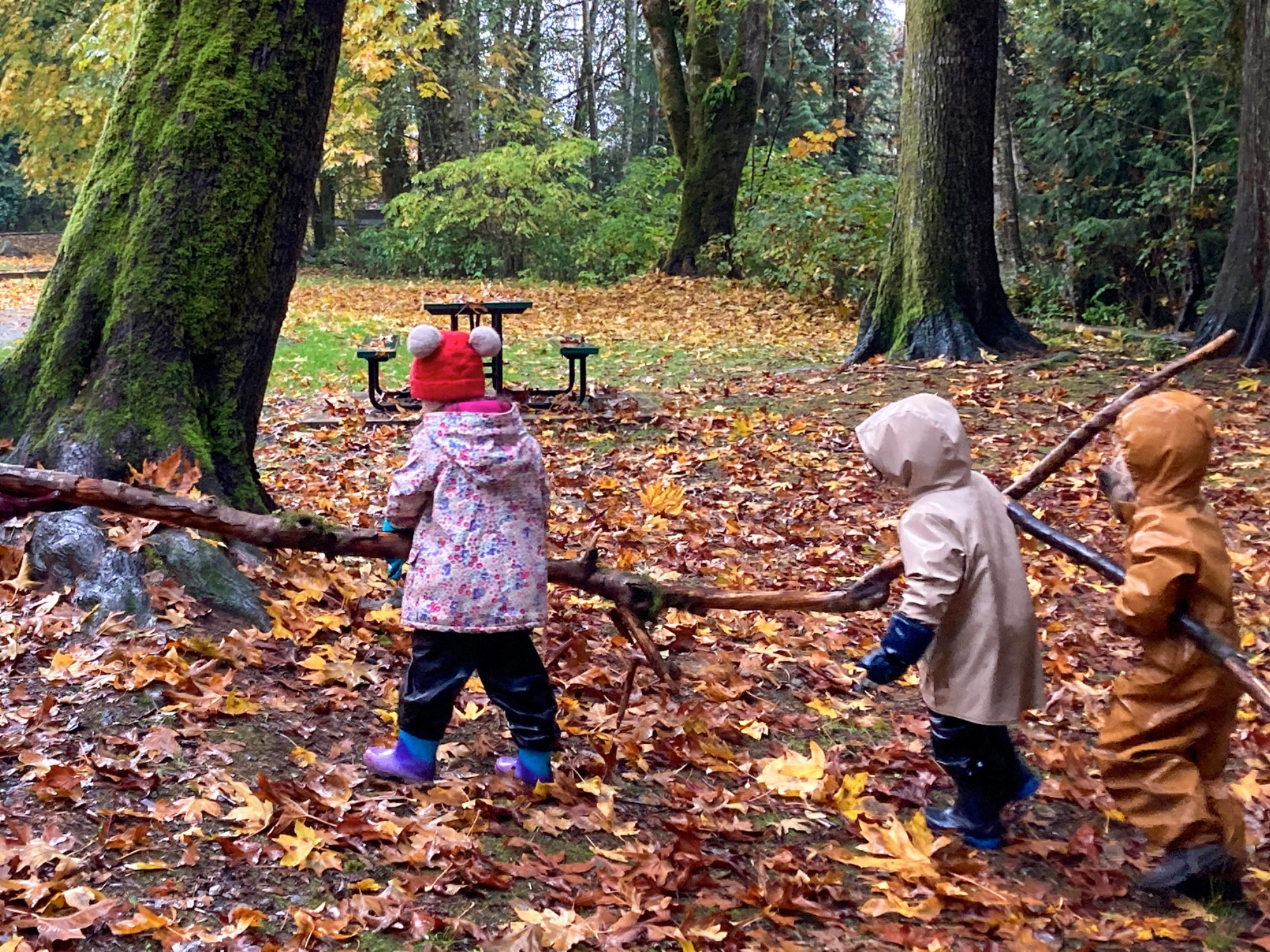 Els temps en la infància