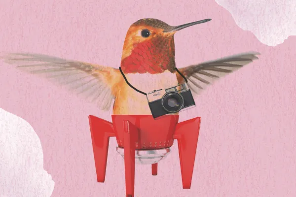 Destins Fantàstics: Aventures en Collage Destins Fantàstics: Aventures en Collage